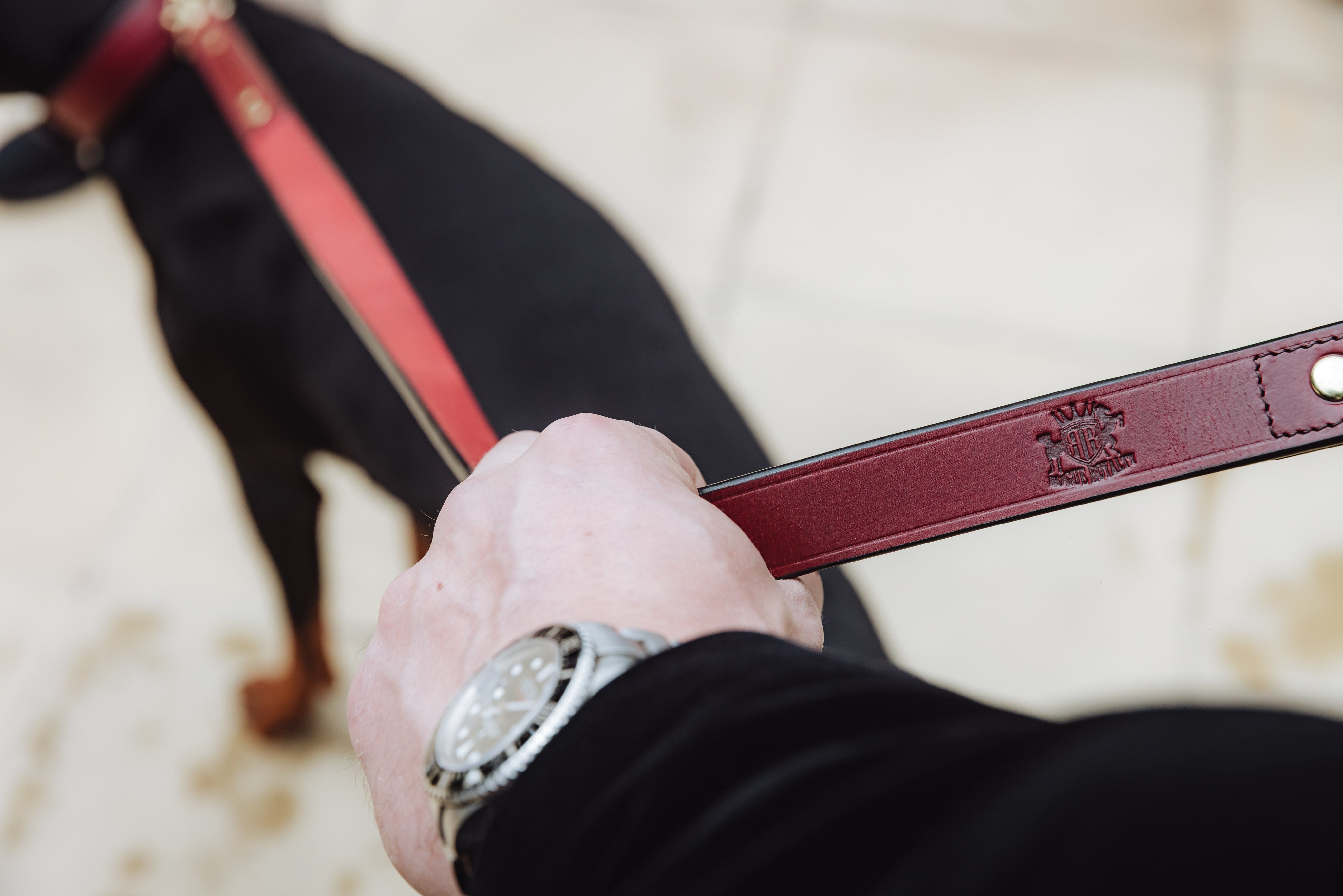 BEST LEATHER DOG LEASHES & LEADS