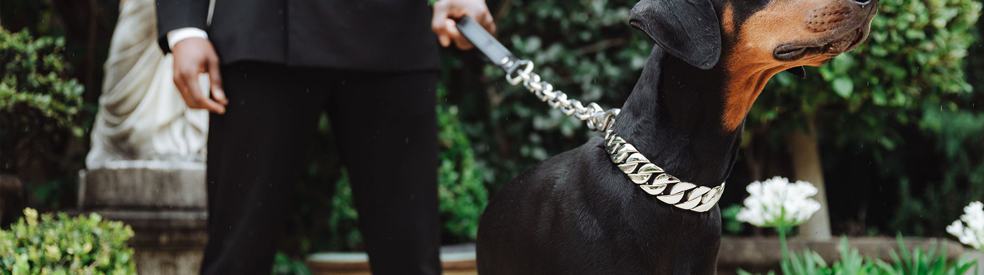 LUXURY CHAIN LINK DOG COLLARS