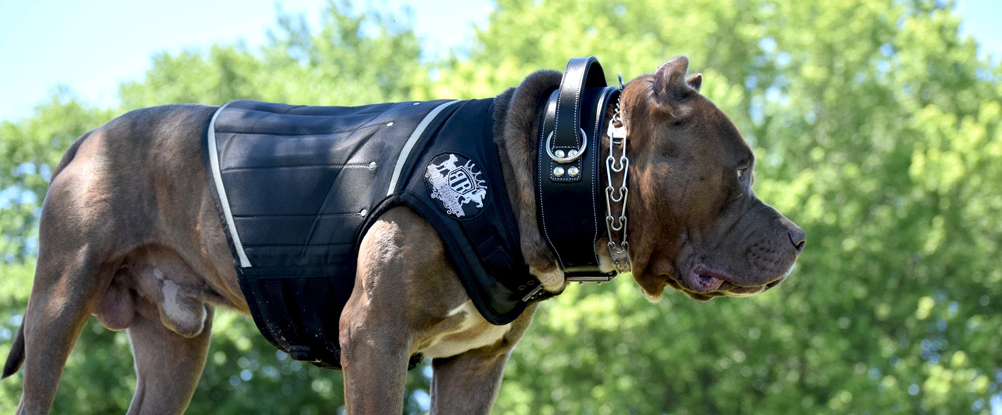 WEIGHTED DOG VEST
