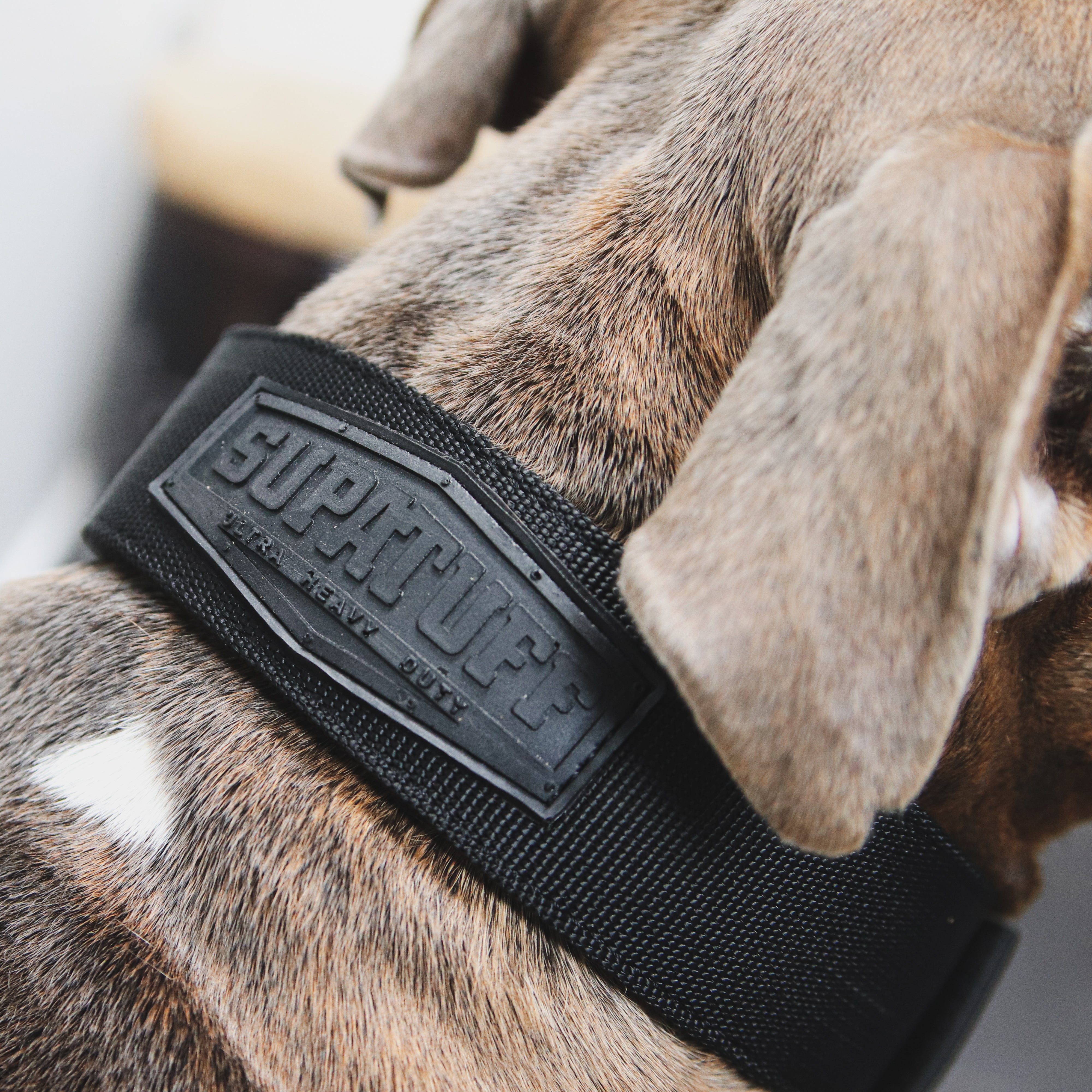 SUPATUFF® Strong Dog Collar Black (Wide Fit)