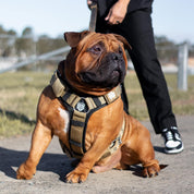 SUPATUFF® Heavy Duty Dog Harness – Desert Wolf | Wide Fit