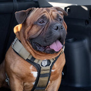 SUPATUFF® Heavy Duty Dog Harness – Desert Wolf | Wide Fit