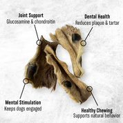 Natural Deer Hide (50g) - Treats for Dogs