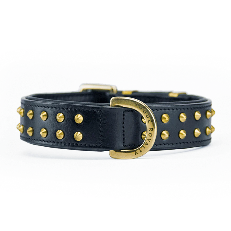 Hand Made Leather Dog Collar - RuffNeck Black & Brass (Regular Fit)
