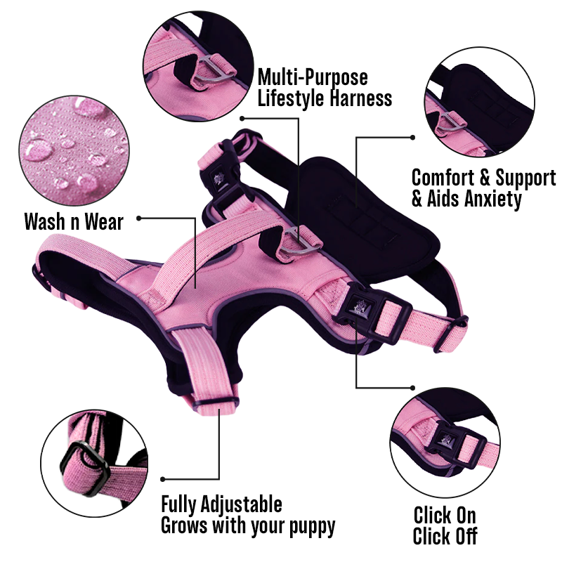 Active-X Lightweight Dog Harness – Pink