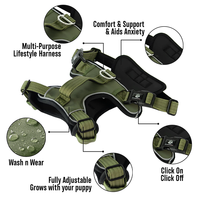 Active-X Lightweight Dog Harness – Green