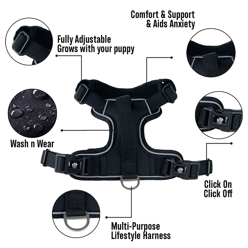 Active-X Lightweight Dog Harness – Black