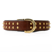 Hand Made Leather Dog Collar - RuffNeck Brown & Brass (Regular Fit)