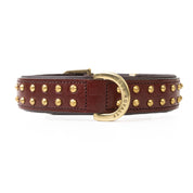 Hand Made Leather Dog Collar - RuffNeck Cherry & Brass (Regular Fit)