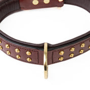 Hand Made Leather Dog Collar - RuffNeck Cherry & Brass (Regular Fit)