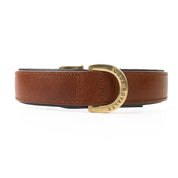 Leather Dog Collar - Classic Brown & Brass (Regular Fit)