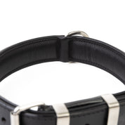 Handmade Leather Dog Collar - Classic Black & Chrome (Regular Fit)