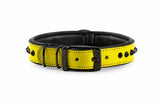Hand Made Leather Dog Collar - Ruthless Yellow & Black (Slim Fit)