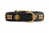 Hand Made Leather Dog Collar - Rogue Ranger Black & Brass (Regular Fit)