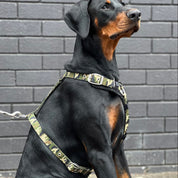 SUPATUFF® Strong Dog Harness – Camoflague | Slim Fit