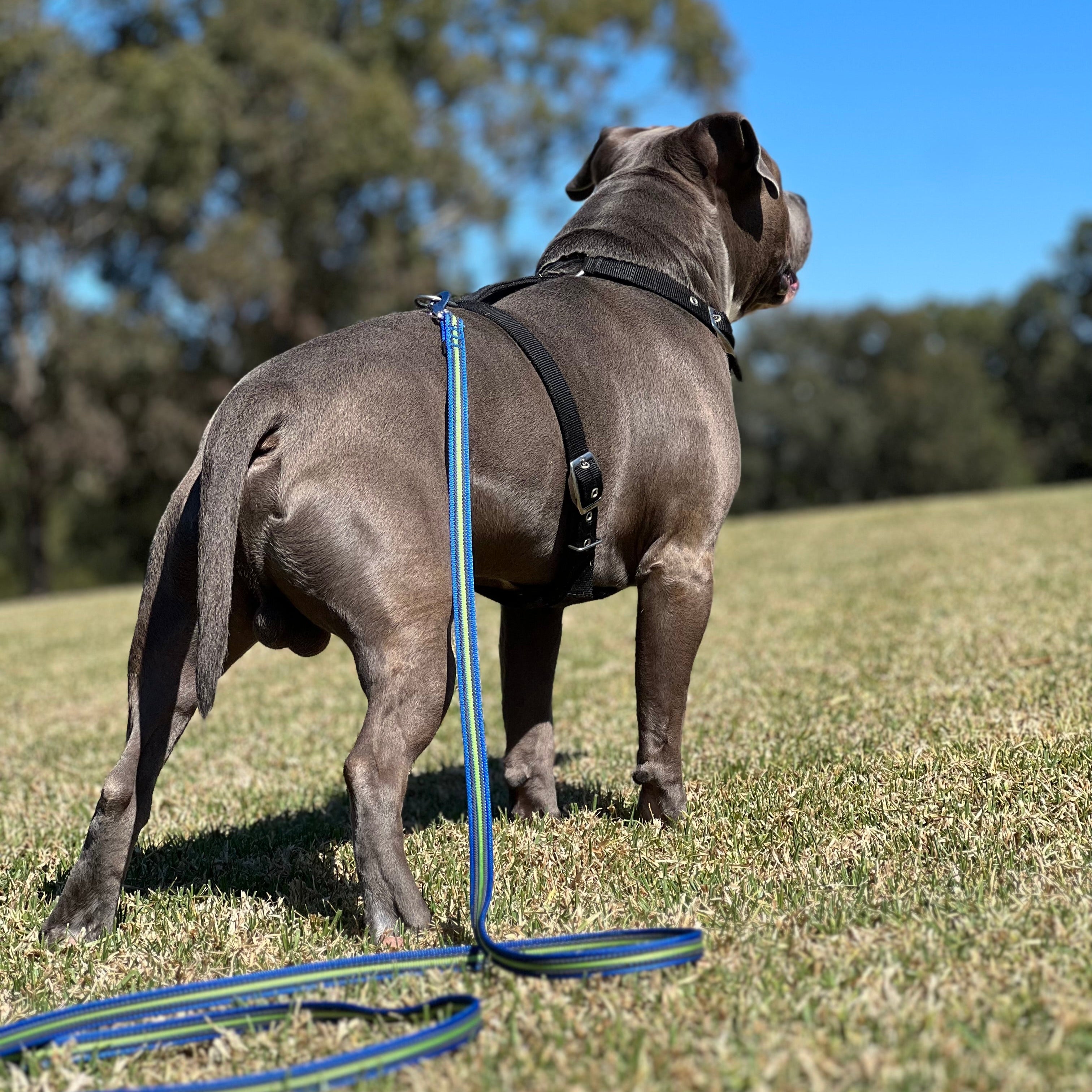 SUPATUFF® Strong Dog Harness – Black | Slim Fit