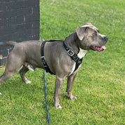 SUPATUFF® Strong Dog Harness – Black | Slim Fit