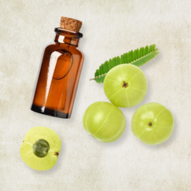 Indian Gooseberry (Amla)