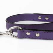 Leather Dog Leash - Classic Purple & Chrome Leash(Standard)
