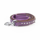 Leather Dog Leash - Imperial Purple & Chrome Leash (Standard)