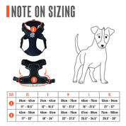 Active-X Lightweight Dog Harness – Black