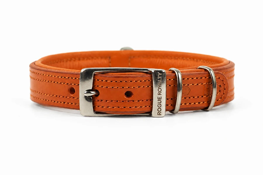 Tuscan orange leather dog collar with silver buckle