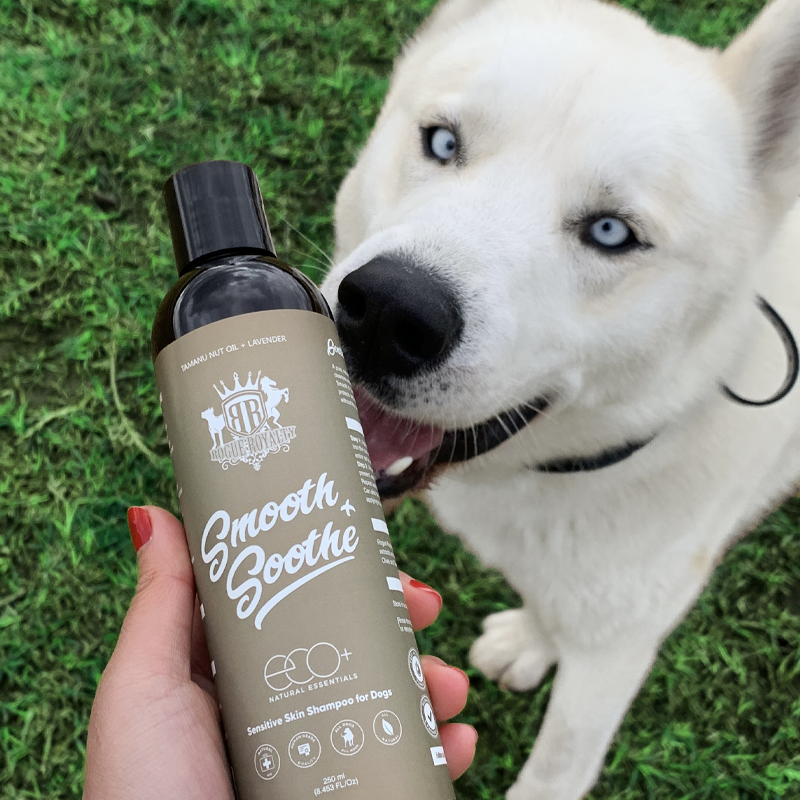 Smooth & Soothe™ | Sensitive Skin Shampoo
