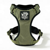 Green dog harness with a brand logo on a white background