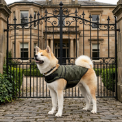 Dog Jacket | Fast Fit Emerald