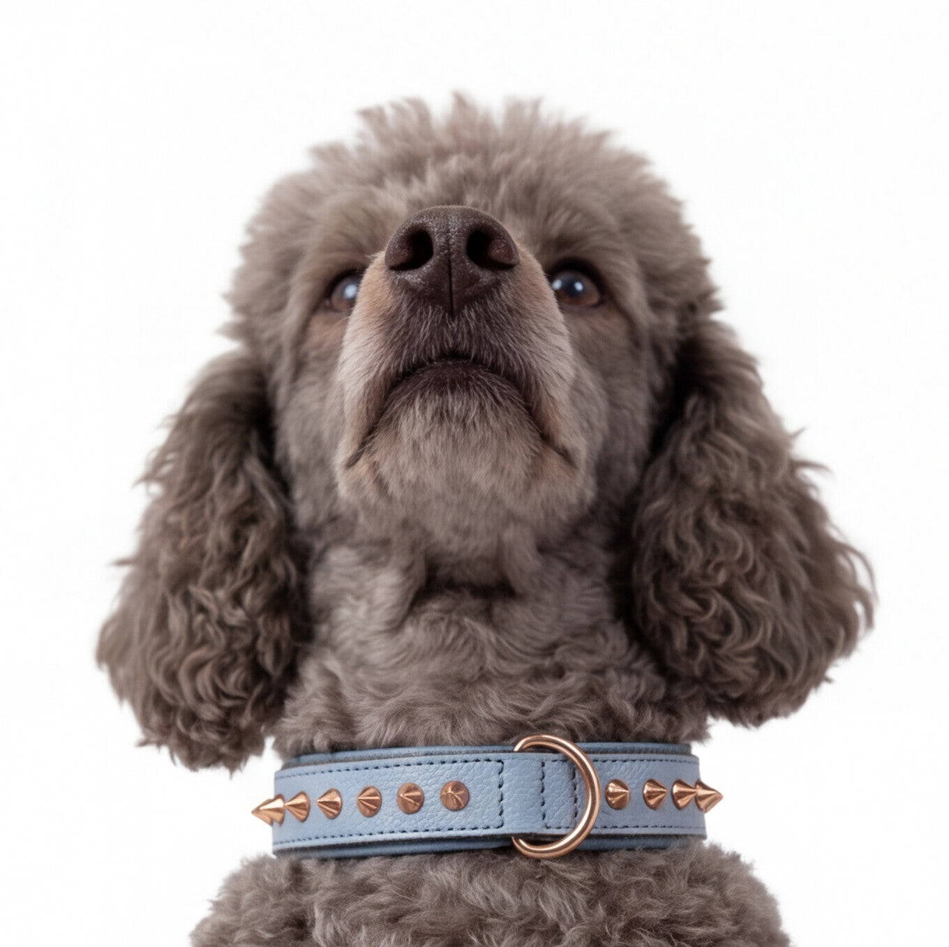 Hand Made Leather Dog Collar - Imperial Baby Blue & Rose Gold (Slim fit)