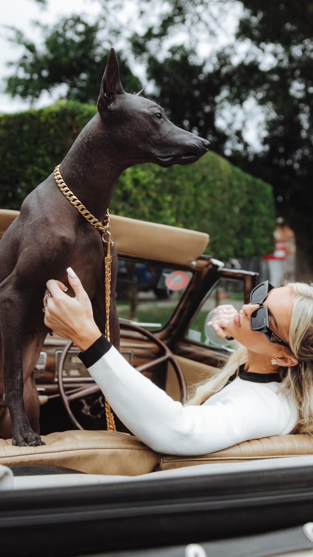 A woman in a white long-sleeve top and sunglasses reclines in a tan convertible car while petting a dark brown Doberman dog wearing a gold chain leash, with trees and a street background.