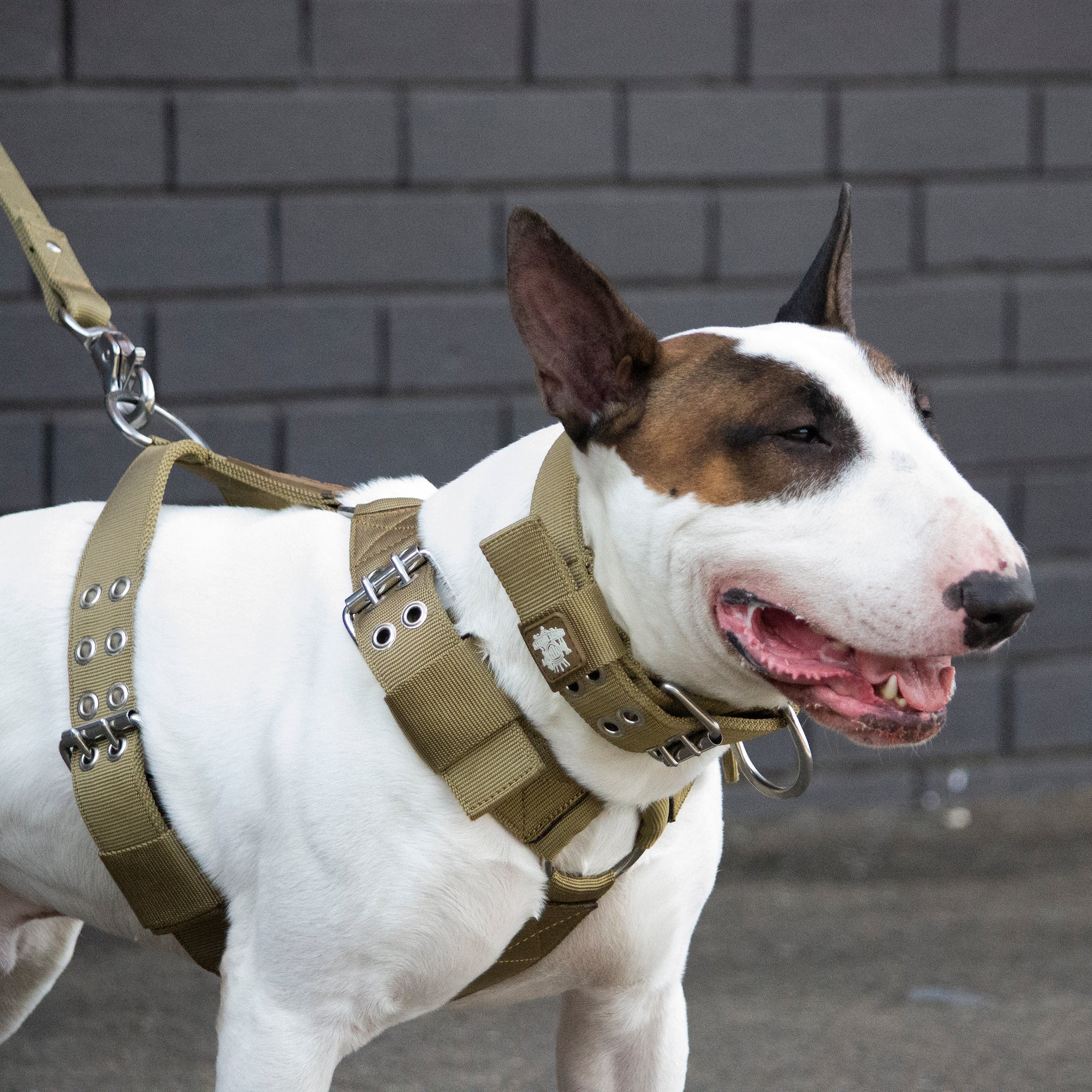 SUPATUFF® Heavy Duty Dog Harness – Desert Wolf | Wide Fit
