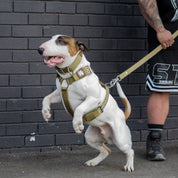 SUPATUFF® Heavy Duty Dog Harness – Desert Wolf | Wide Fit