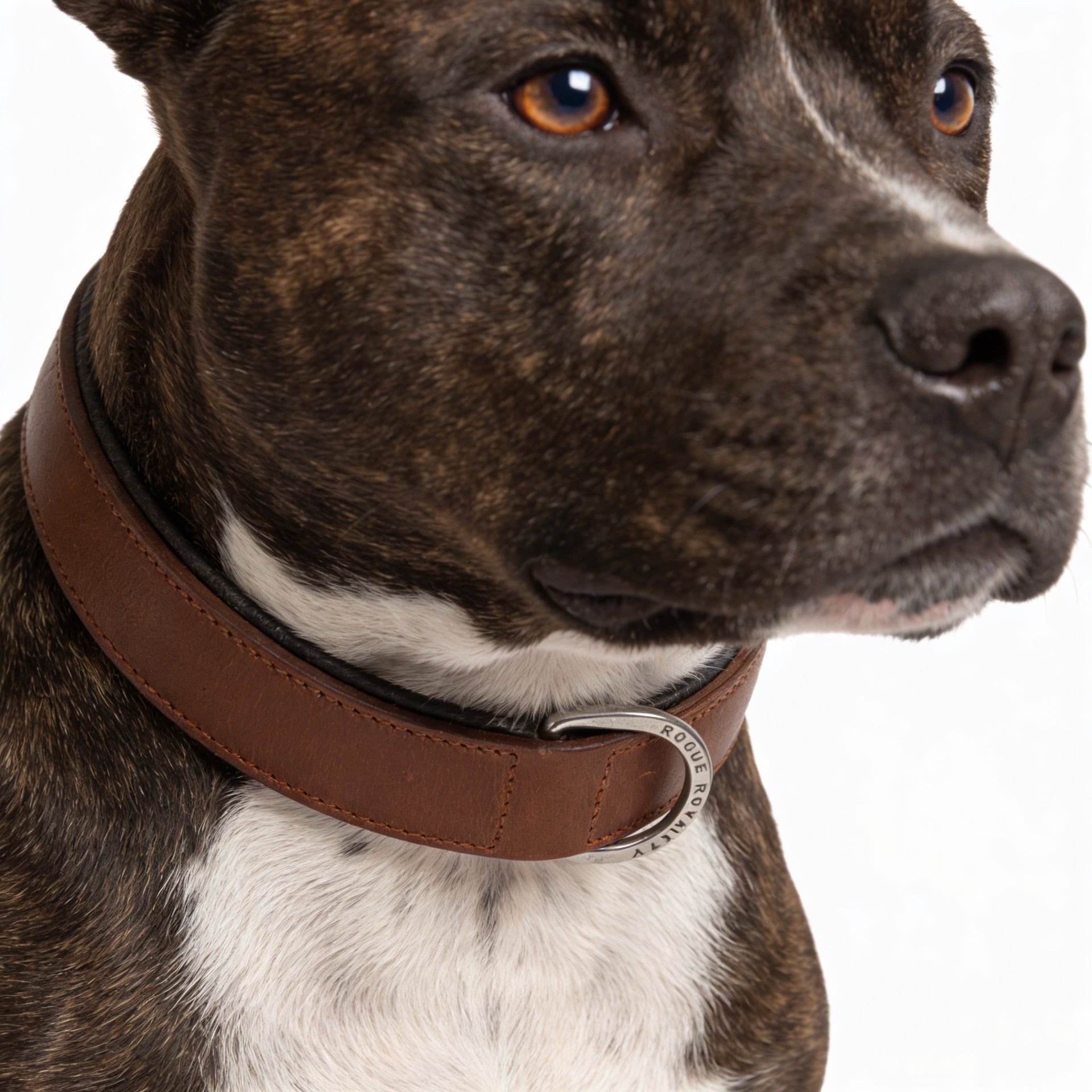 Hand Made Leather Dog Collar - Classic Brown & Chrome (Regular Fit)