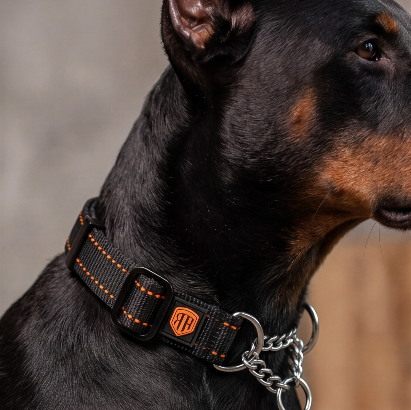 dobermann-martingale-collars_fb20a883-67b0-4b57-8aaa-61c90769a225.png