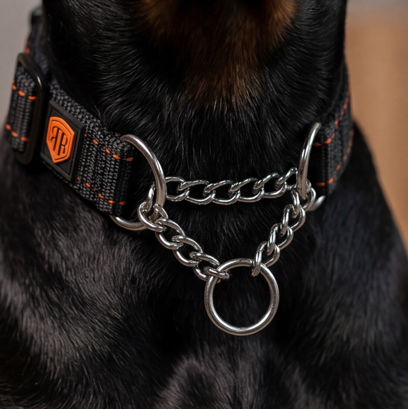 Martingale Collar