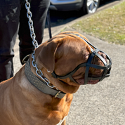 Dog Muzzle - Leather Basket Bully