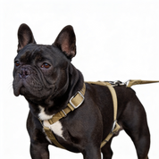 SUPATUFF® Strong Dog Harness – Desert Wolf | Slim Fit