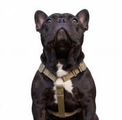 SUPATUFF® Strong Dog Harness – Desert Wolf | Slim Fit