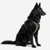 Active-X Lightweight Dog Harness – Green