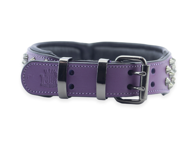 Hand Made Leather Dog Collar - Ruthless Purple & Black (Wide Fit)