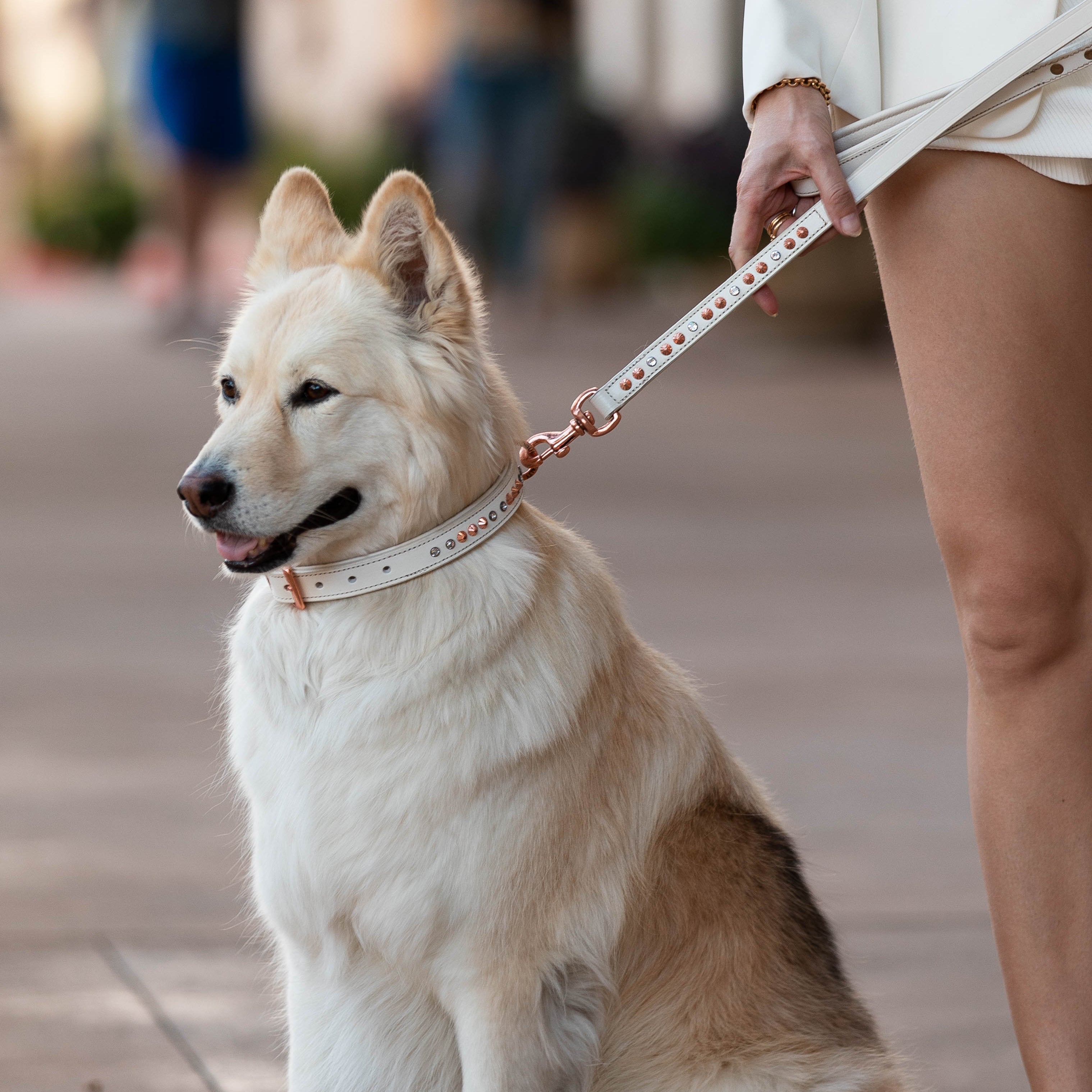Hand Made Leather Dog Collar - White Crystal Rose Gold (Slim Fit) - Clearance