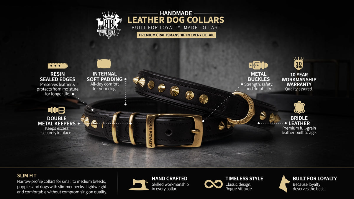 SLIM FIT LEATHER DOG COLLAR SPECIFICATIONS