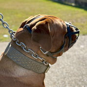 Dog Muzzle - Leather Basket Bully