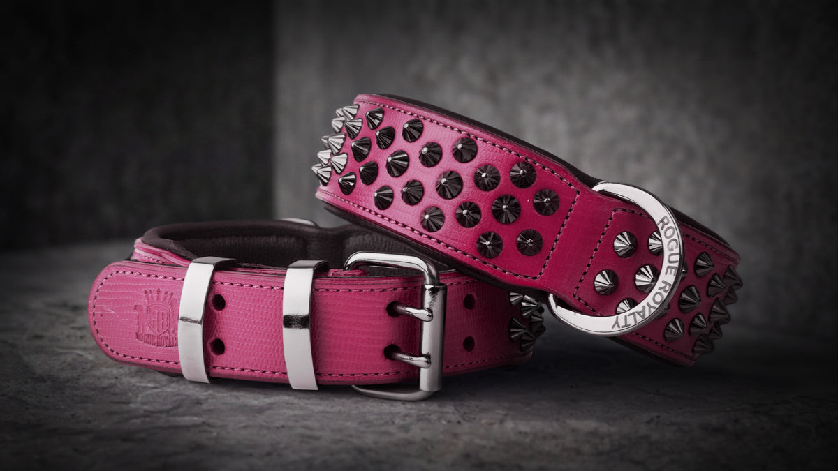 Rogue Royalty dog collars, harnesses and winter jackets featured in the Australian dog products sale