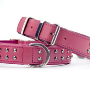 pink dog collar regular ruffneck 3