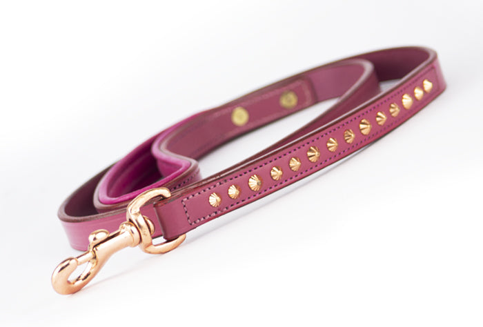 pink-rose-gold-leash.jpg