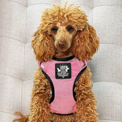 Active-X Lightweight Dog Harness – Pink