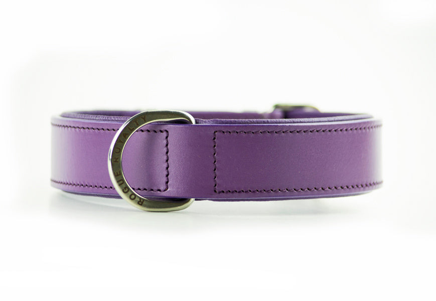 purple-dog-collars-1.jpg
