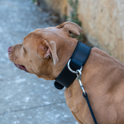 Hand Made Leather Dog Collar - Classic Black & Chrome (Wide Fit)